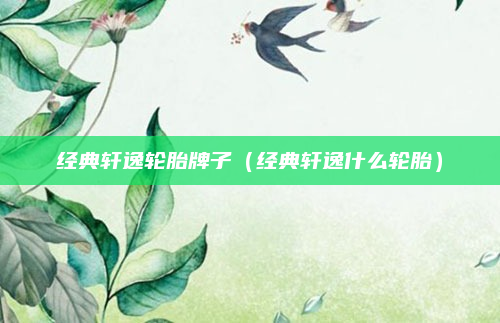 经典轩逸轮胎牌子(经典轩逸什么轮胎)
