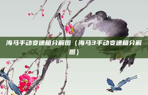 海马手动变速箱分解图(海马3手动变速箱分解图)