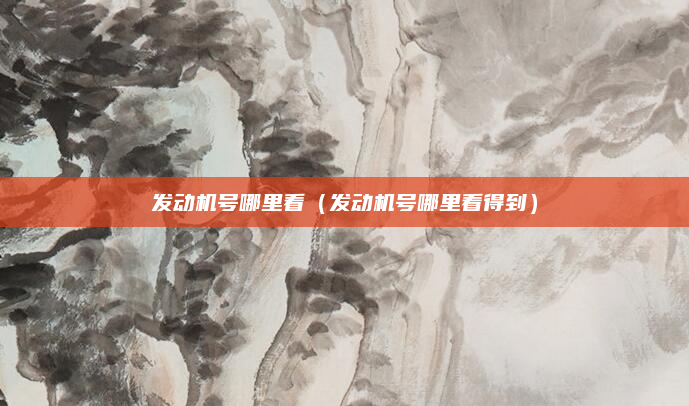 发动机号哪里看(发动机号哪里看得到)