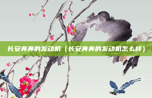 长安奔奔的发动机(长安奔奔的发动机怎么样)