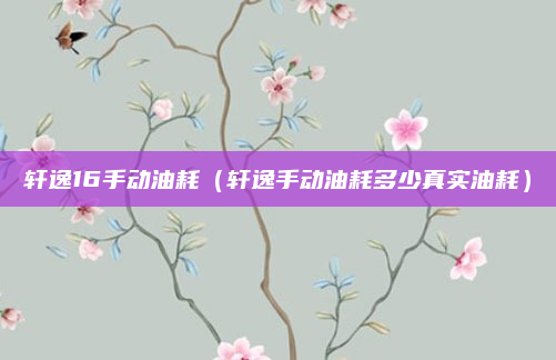 轩逸16手动油耗(轩逸手动油耗多少真实油耗)