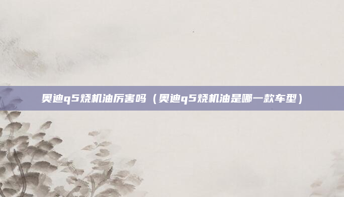 奥迪q5烧机油厉害吗（奥迪q5烧机油是哪一款车型）