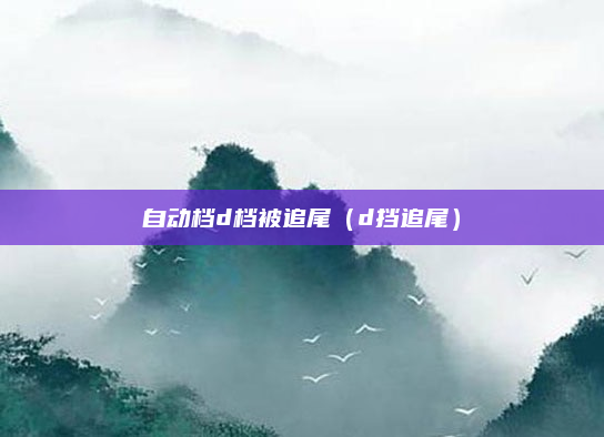 自动档d档被追尾（d挡追尾）