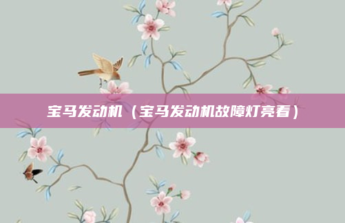 宝马发动机（宝马发动机故障灯亮着）