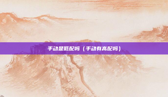 手动是低配吗（手动有高配吗）