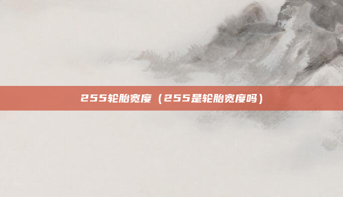 255轮胎宽度（255是轮胎宽度吗）