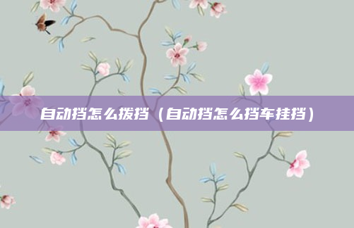 自动挡怎么拨挡(自动挡怎么挡车挂挡)