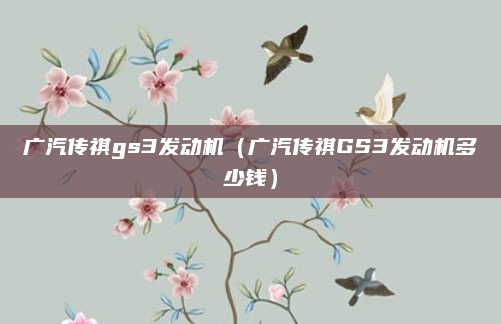 广汽传祺gs3发动机(广汽传祺GS3发动机多少钱)