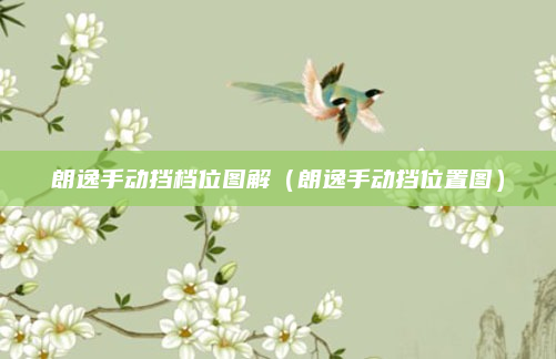 朗逸手动挡档位图解(朗逸手动挡位置图)