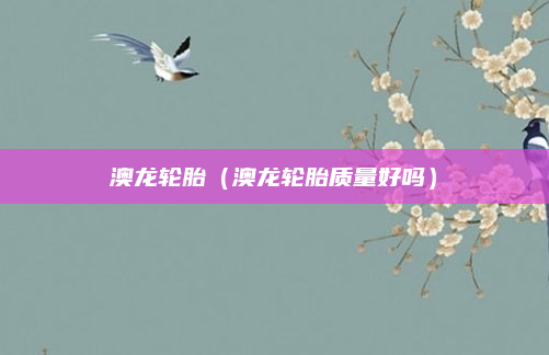 澳龙轮胎(澳龙轮胎质量好吗)