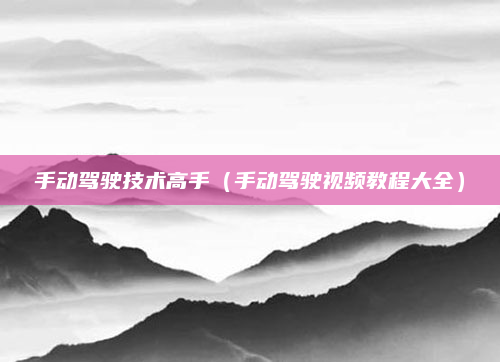 手动驾驶技术高手（手动驾驶视频教程大全）