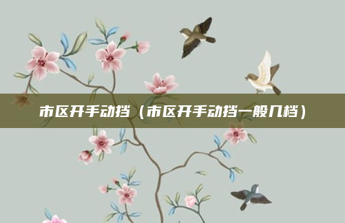 市区开手动挡(市区开手动挡一般几档)