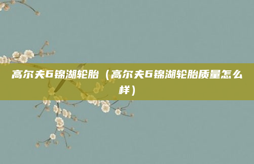 高尔夫6锦湖轮胎（高尔夫6锦湖轮胎质量怎么样）