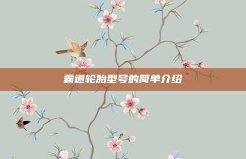 霸道轮胎型号的简单介绍