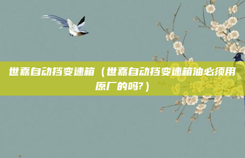 世嘉自动挡变速箱(世嘉自动挡变速箱油必须用原厂的吗?)