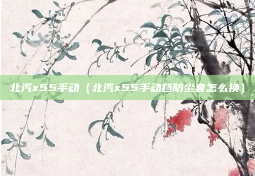 北汽x55手动（北汽x55手动挡防尘套怎么换）
