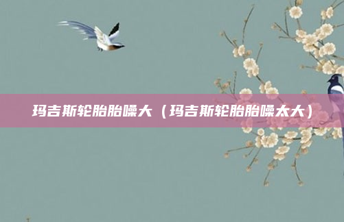 玛吉斯轮胎胎噪大（玛吉斯轮胎胎噪太大）