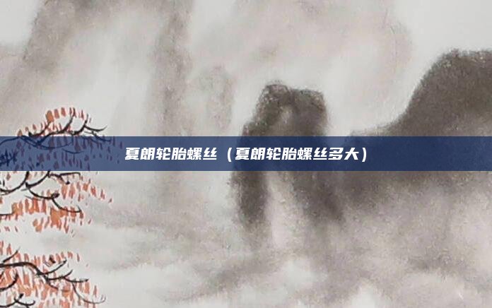 夏朗轮胎螺丝（夏朗轮胎螺丝多大）