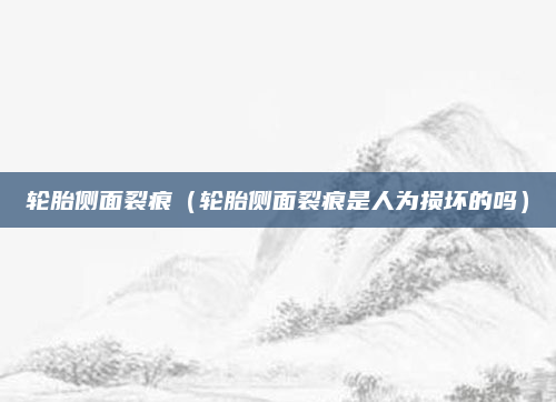 轮胎侧面裂痕(轮胎侧面裂痕是人为损坏的吗)