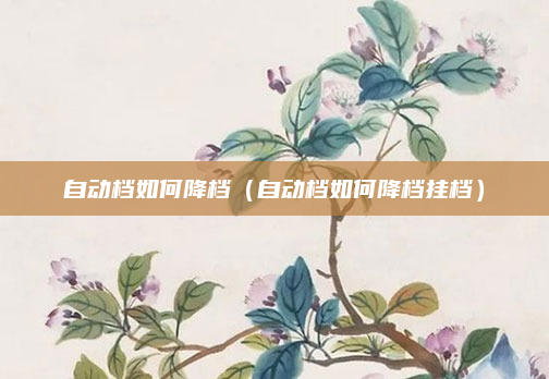 自动档如何降档(自动档如何降档挂档)