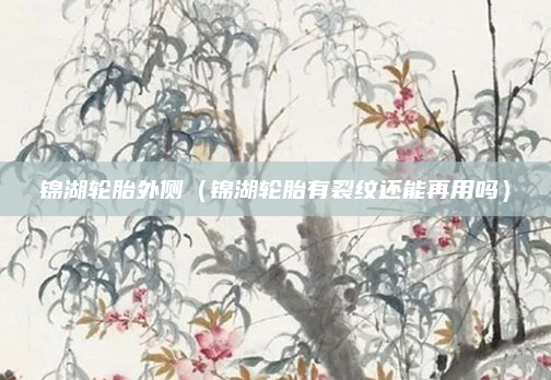 锦湖轮胎外侧(锦湖轮胎有裂纹还能再用吗)