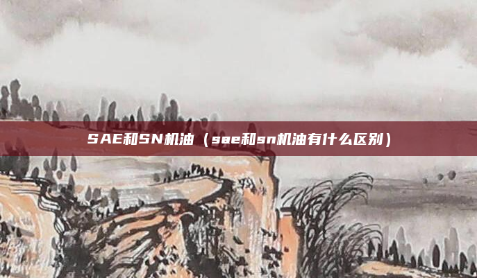 SAE和SN机油（sae和sn机油有什么区别）