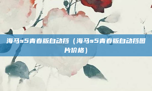 海马s5青春版自动挡(海马s5青春版自动挡图片价格)