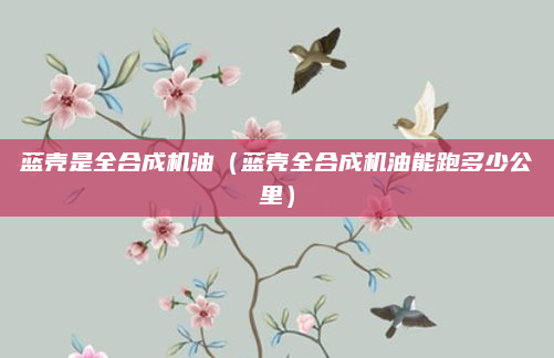 蓝壳是全合成机油（蓝壳全合成机油能跑多少公里）