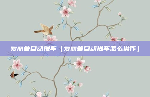 爱丽舍自动提车(爱丽舍自动提车怎么操作)
