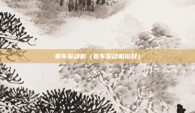 赛车发动机（赛车发动机铅封）