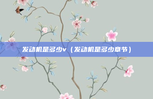 发动机是多少v（发动机是多少章节）