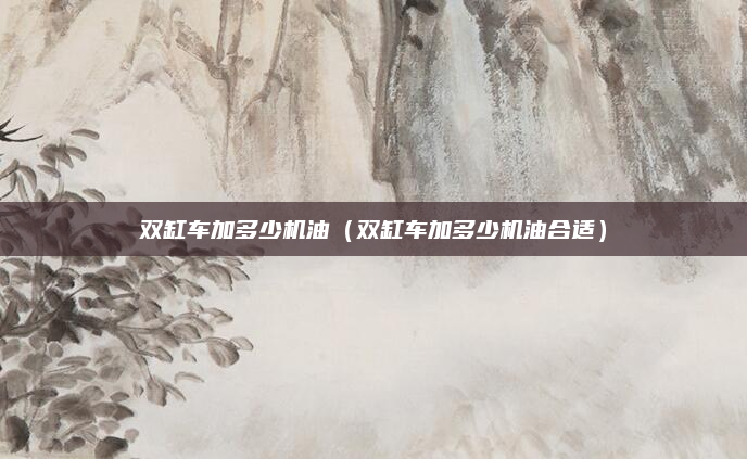 双缸车加多少机油（双缸车加多少机油合适）