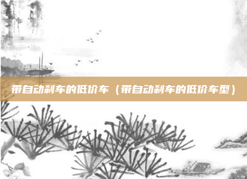 带自动刹车的低价车（带自动刹车的低价车型）