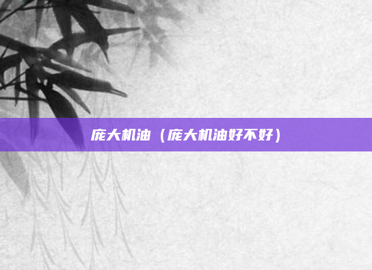 庞大机油（庞大机油好不好）