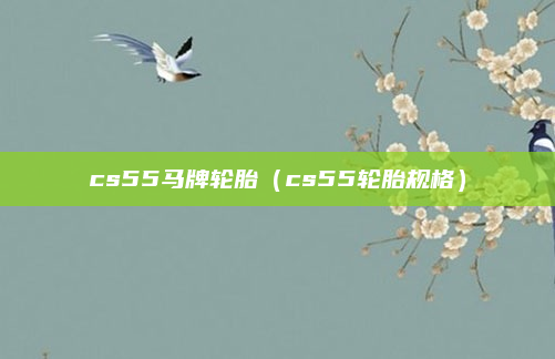 cs55马牌轮胎（cs55轮胎规格）