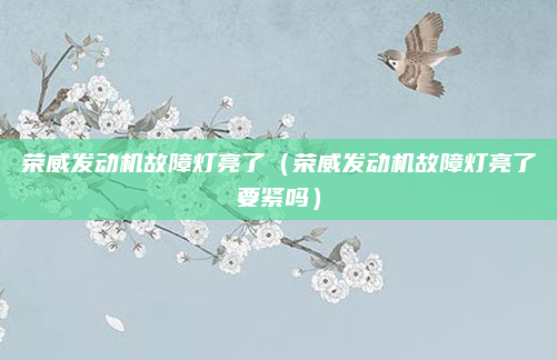 荣威发动机故障灯亮了（荣威发动机故障灯亮了要紧吗）