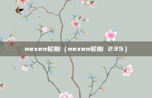 nexen轮胎（nexen轮胎 235）