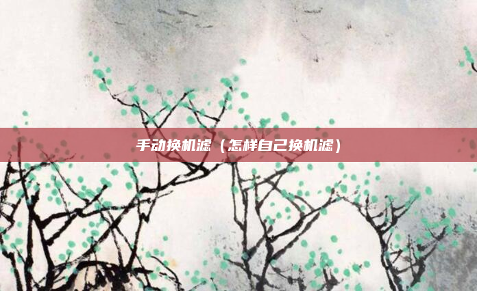 手动换机滤（怎样自己换机滤）