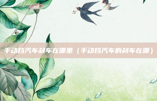 手动挡汽车刹车在哪里（手动挡汽车的刹车在哪）