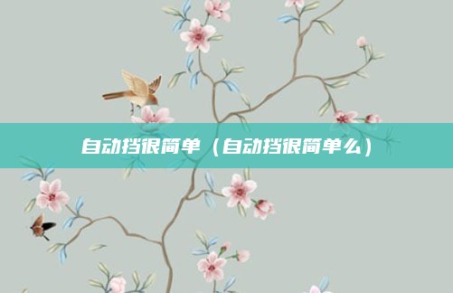 自动挡很简单（自动挡很简单么）
