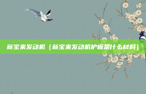 新宝来发动机（新宝来发动机护板是什么材料）