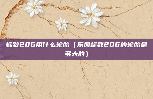 标致206用什么轮胎（东风标致206的轮胎是多大的）