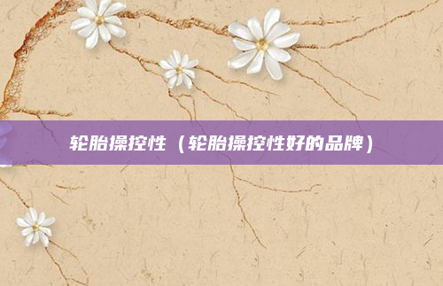 轮胎操控性（轮胎操控性好的品牌）