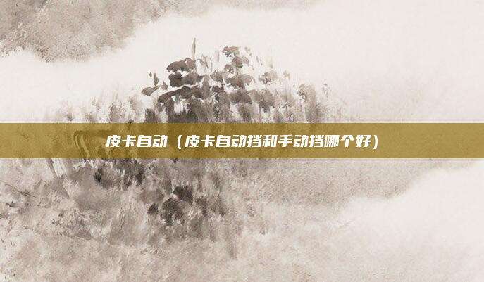 皮卡自动（皮卡自动挡和手动挡哪个好）