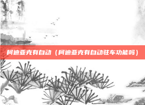 柯迪亚克有自动（柯迪亚克有自动驻车功能吗）