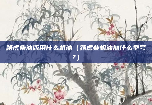 路虎柴油版用什么机油(路虎柴机油加什么型号?)