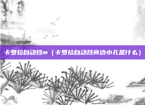 卡罗拉自动挡m(卡罗拉自动挡旁边小孔是什么)