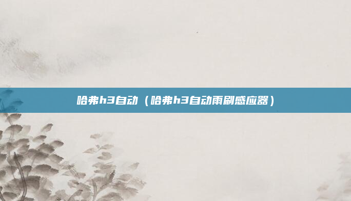 哈弗h3自动(哈弗h3自动雨刷感应器)