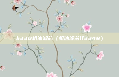 h330机油滤芯（机油滤芯lf3349）