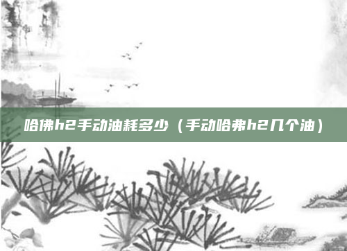 哈佛h2手动油耗多少（手动哈弗h2几个油）